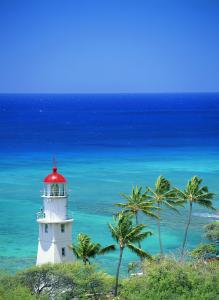 ҳܰ,ʦ͵͵ڿ ϸλǩЭ飿