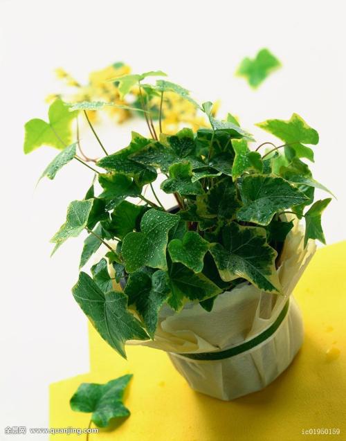 ܹģ2000ԪйҵĻ仧Ϻ