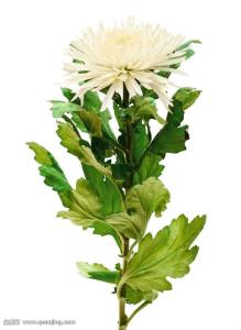 ϵĲƽح17߼ټδѧǴ»