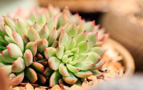 ֯ȫۼ¹ȷﲡ79673754