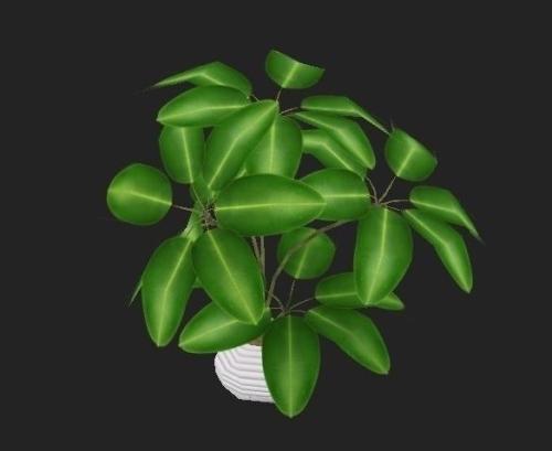 ¡°Ìì¼ÛÂÉʦ·Ñ¡±¾ø²»Êǹ¤ÉËÅâ³¥Äѵġ°¶ÔÖ¢Ò©¡±